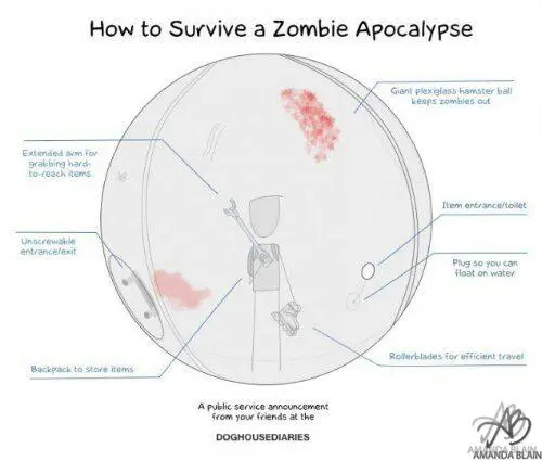 Not Sure I’m Sold on the Zombie Ball…..ಠ_ಠ