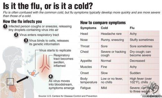 the difference between a cold and a flu