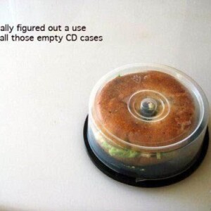 At LAST ... A Use For Those Empty CD Cases