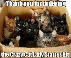 2 or More Cats Makes you a Crazy Cat Lady
