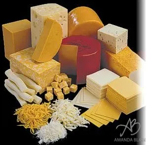 Is there anything better than Cheese....?