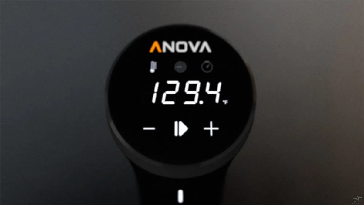Anova Precision Cooker Nano – Sous-Vide for Everyone